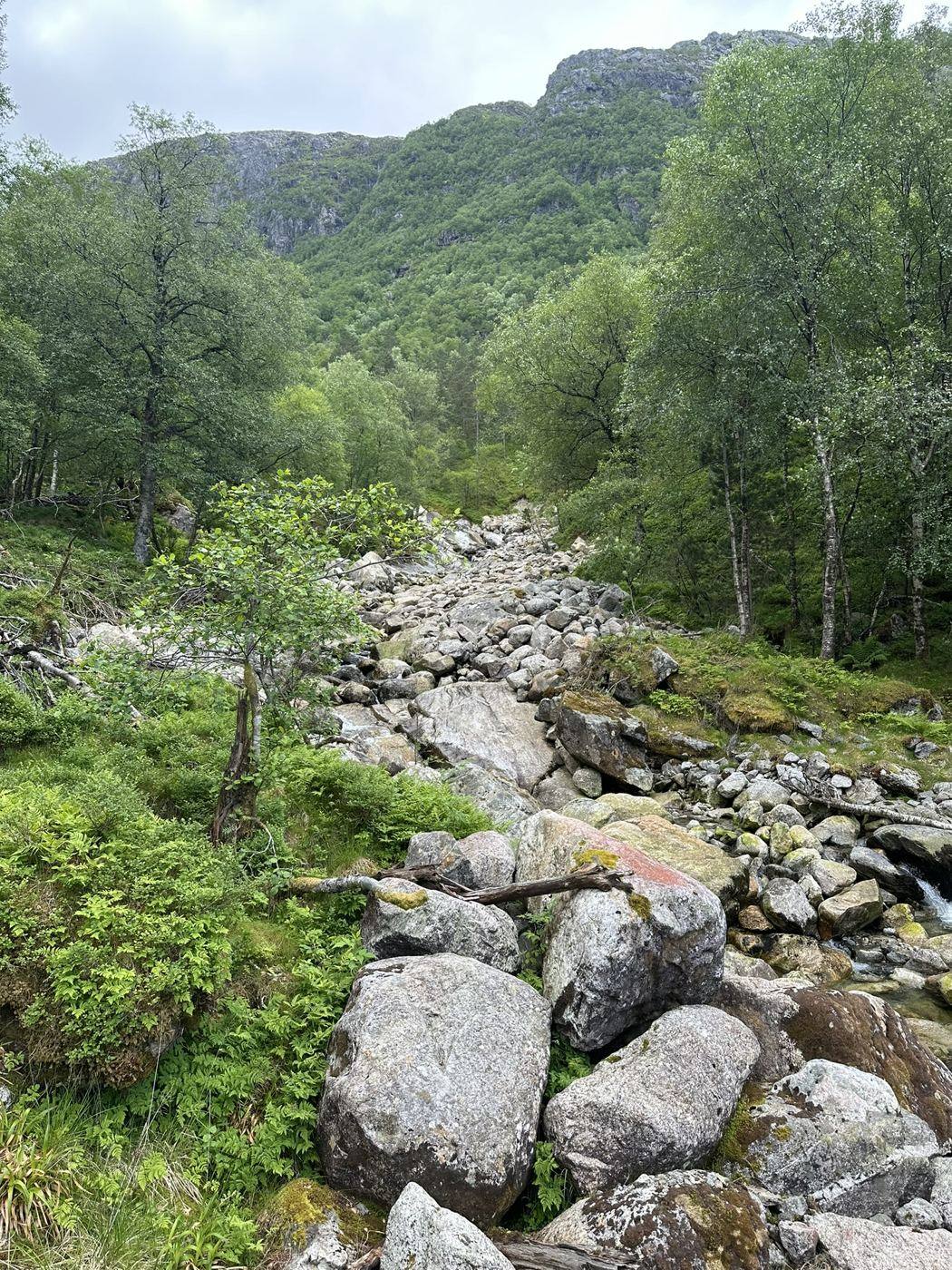 Steinur og elveleie i Eikeelva med skogkledde fjell